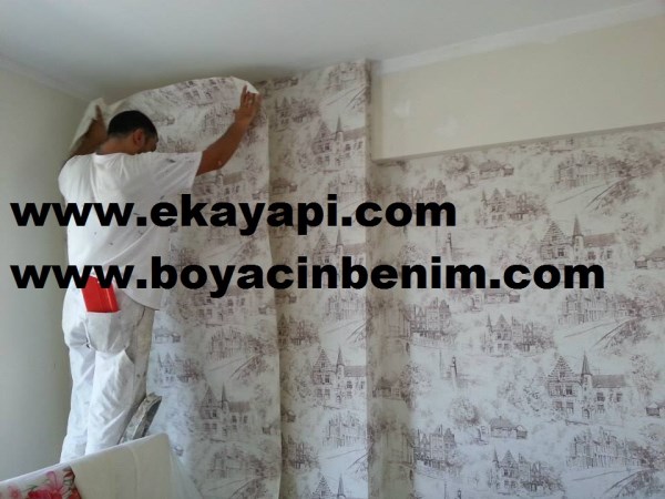 Taylan Bey. Duvar Kağıdı Ustası Halkalı